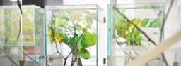 Specialized Environmental Studies