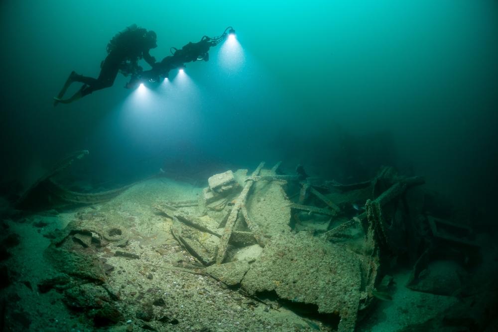 Marine & Terrestrial Surveys