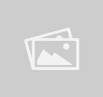 Marine & Terrestrial Surveys