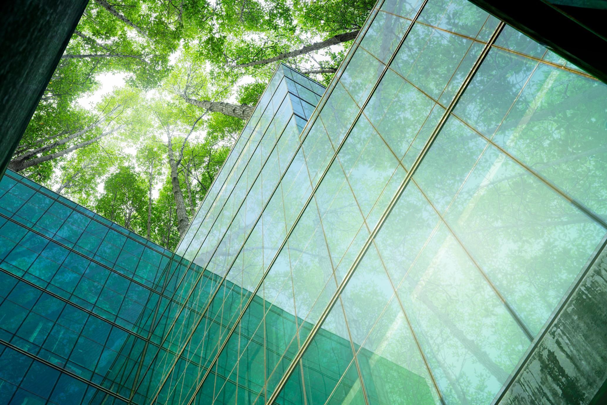 ESG Strategies Driving Sustainability