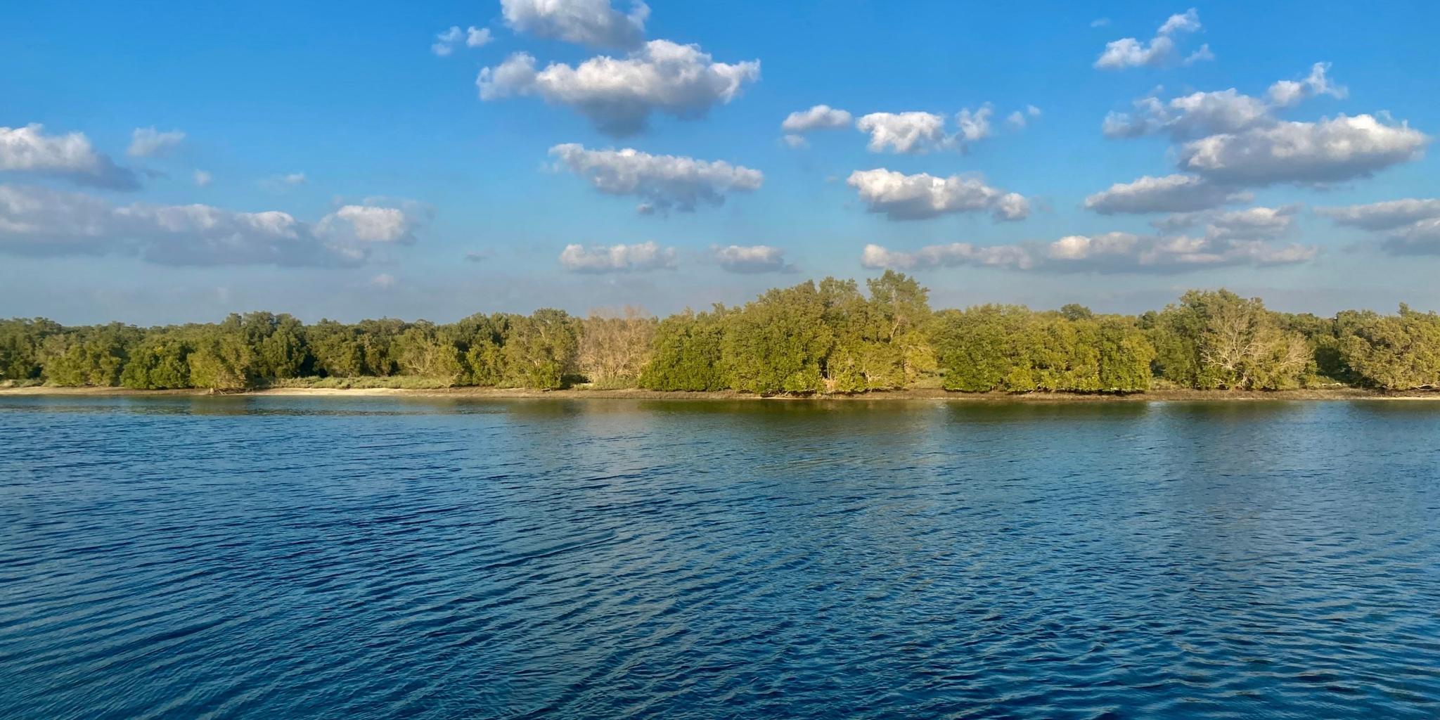 Al Gurm – Mangrove Rehabilitation and Conservation