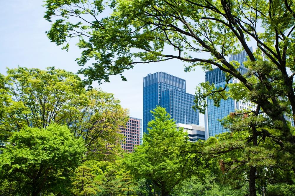 Regulatory Compliance & Environmental Auditing