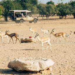 Environmental Research & Reporting