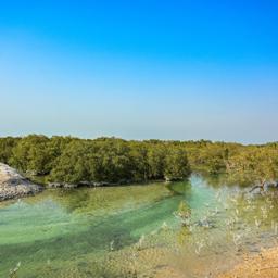 Environmental Baseline Surveys