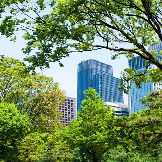 Regulatory Compliance & Environmental Auditing