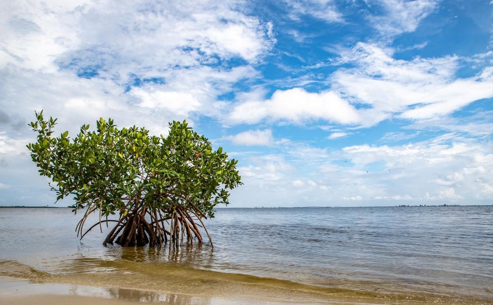 Regulatory Reporting & Documentation