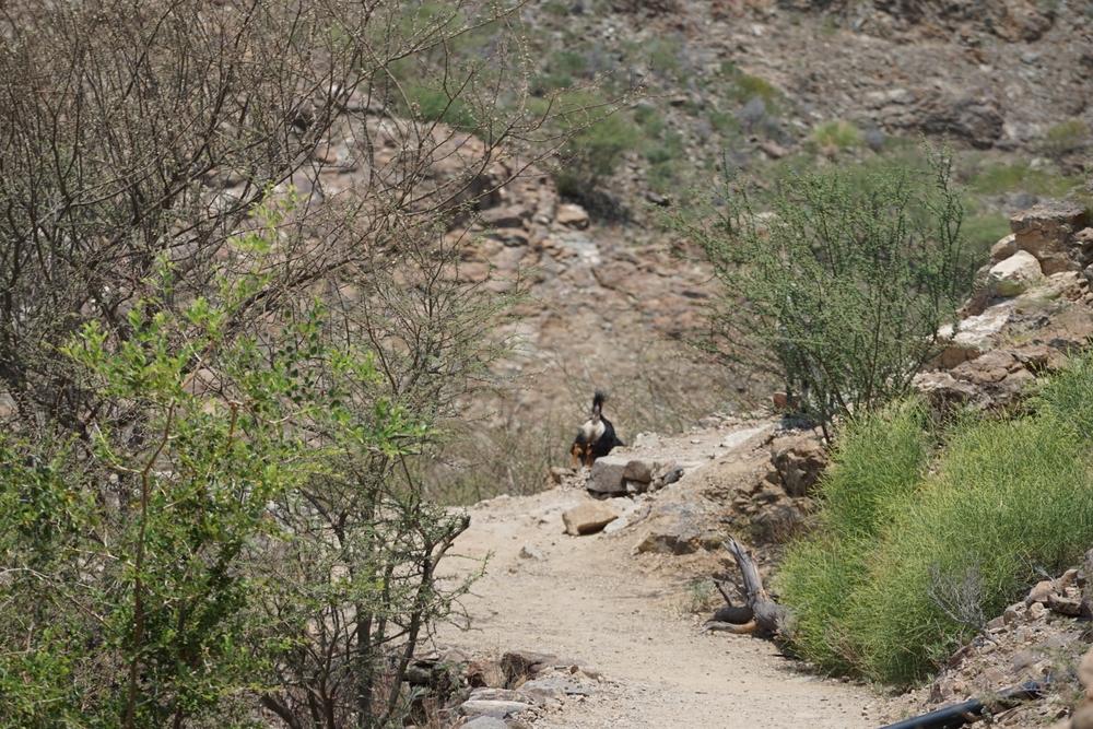 Environmental Monitoring