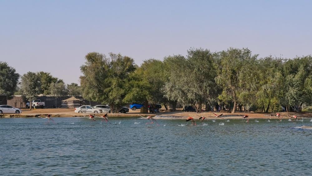 Nature-Based Solutions