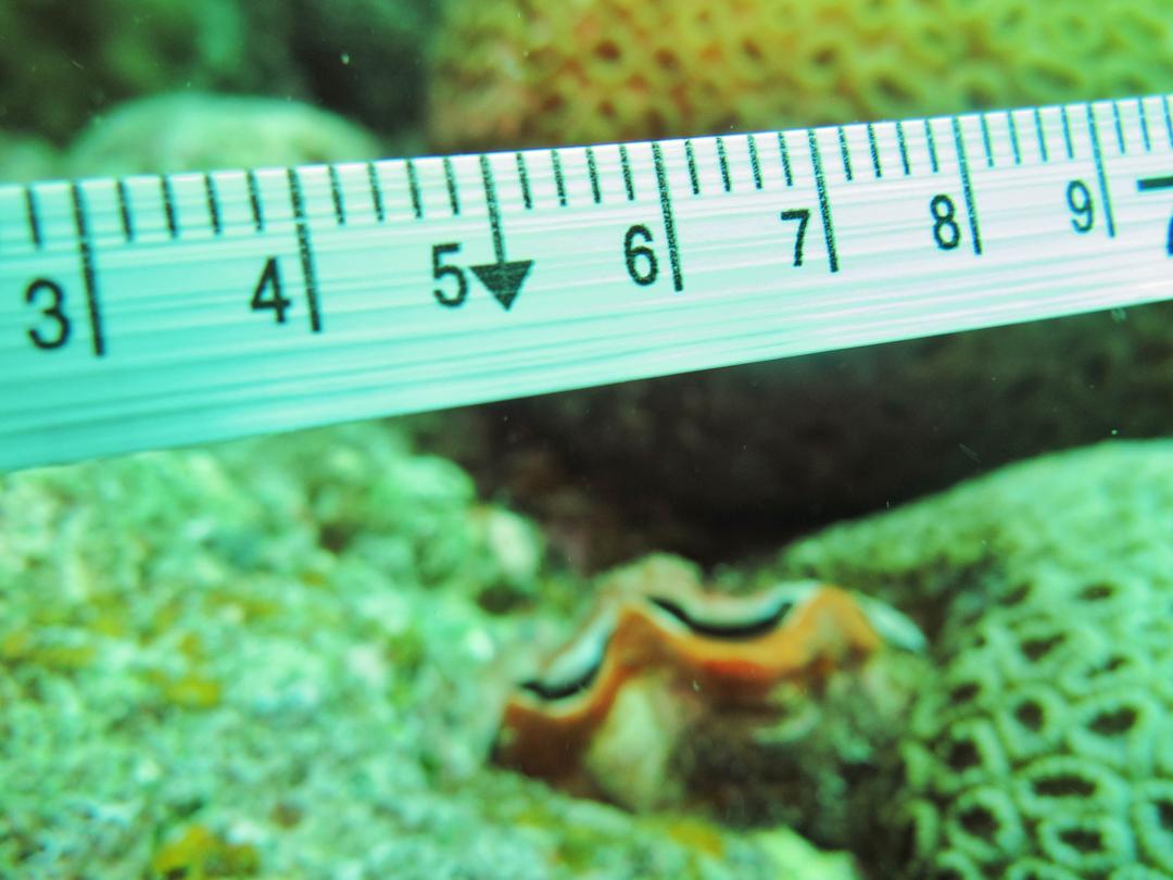 Biodiversity & Ecosystem Analysis