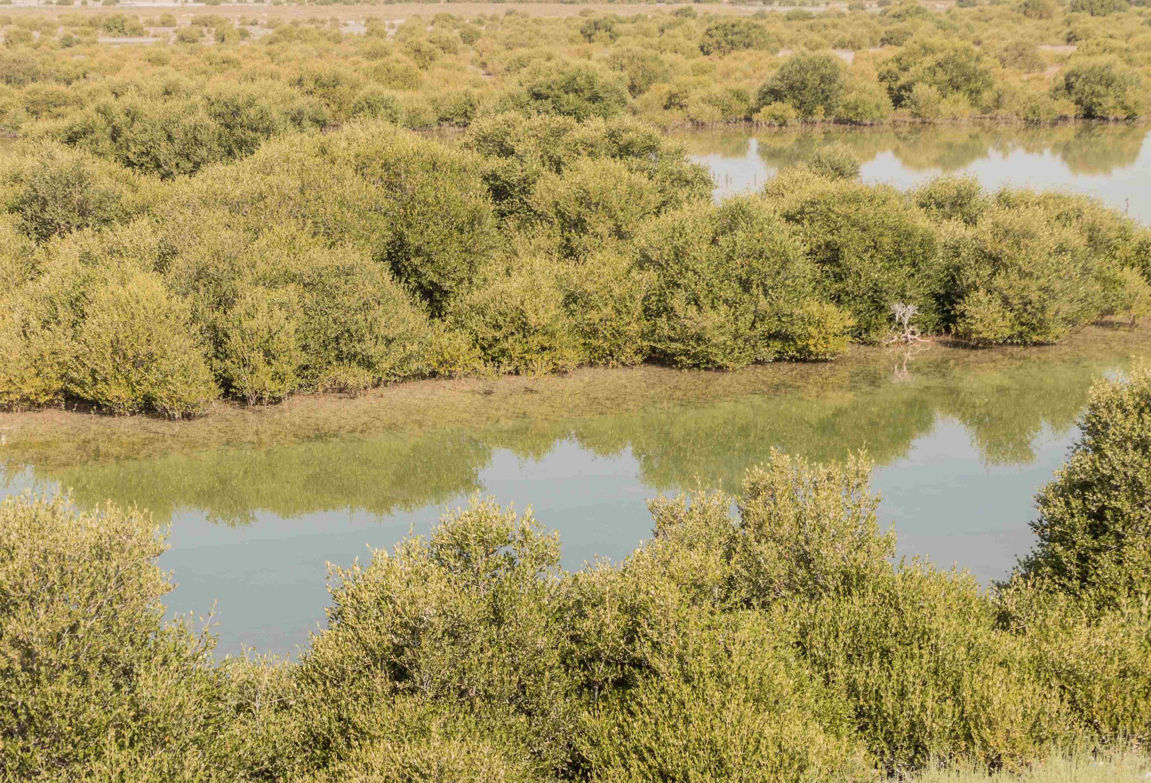 Field-Based Environmental Research