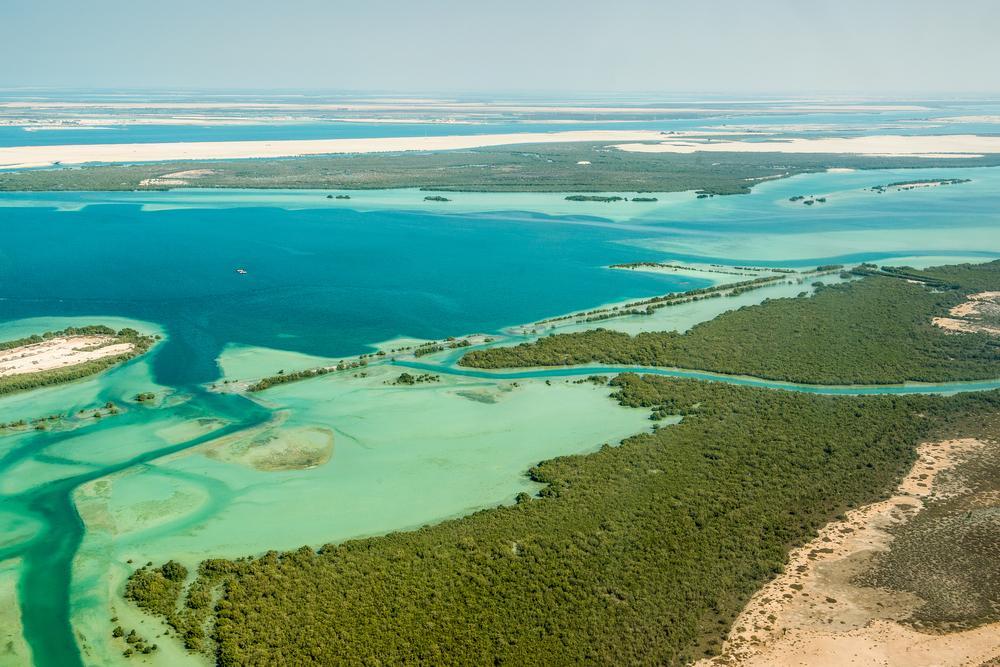 Climate & Carbon Initiatives