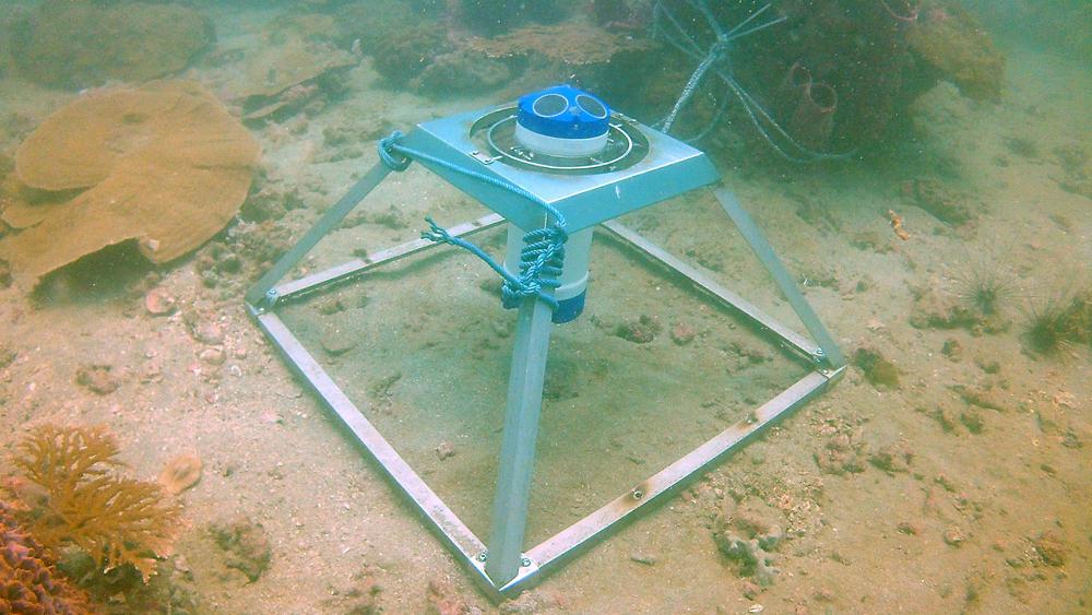 Hydrodynamic & Sediment Modelling